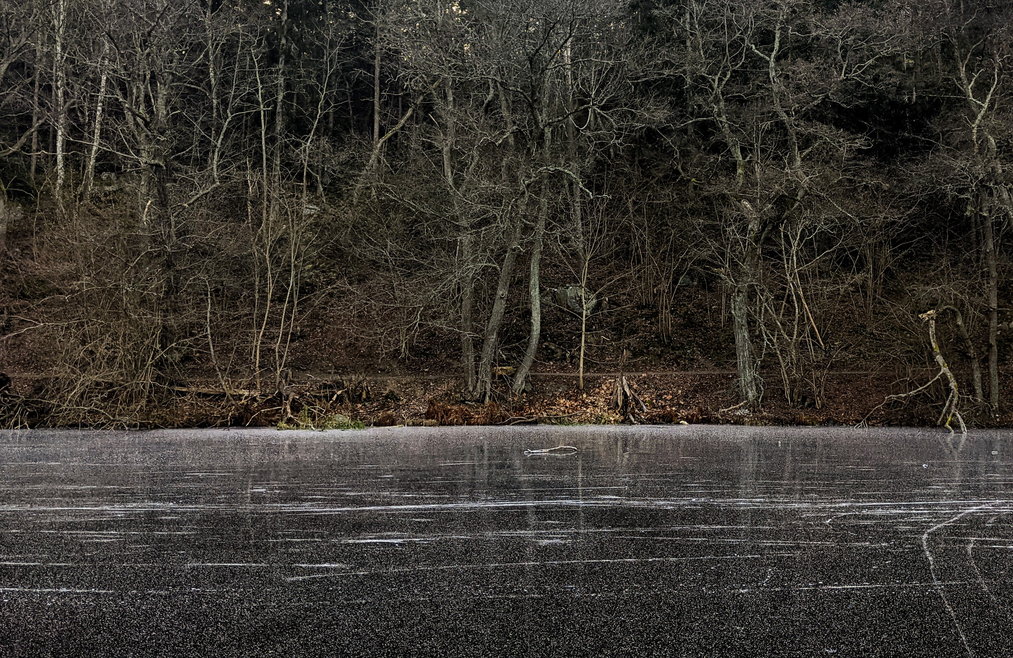 background4